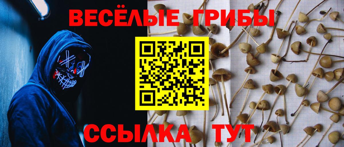 Кириши  Галлюциногенные грибы прущие грибы  Вход с VPN 